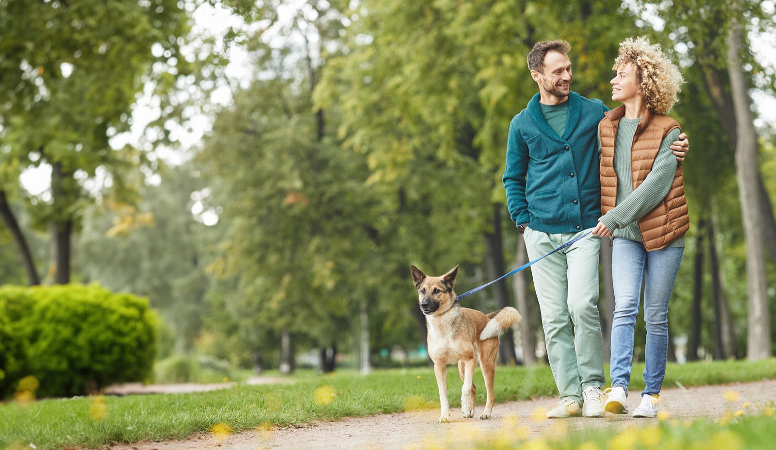 | Urogynecology Associates